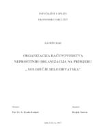 ORGANIZACIJA RAČUNOVODSTVA NEPROFITNIH ORGANIZACIJA NA PRIMJERU
 „ SOS DJEČJE SELO HRVATSKA“