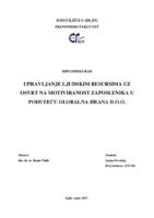 Upravljanje ljudskim resursima uz osvrt na motiviranost zaposlenika u poduzeću Globalna hrana d.o.o.