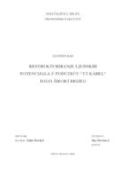 RESTRUKTURIRANJE LJUDSKIH POTENCIJALA U PODUZEĆU “TT KABEL” D.O.O. ŠIROKI BRIJEG
