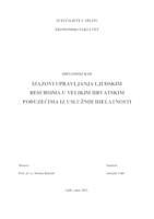 IZAZOVI UPRAVLJANJA LJUDSKIM RESURSIMA U VELIKIM HRVATSKIM PODUZEĆIMA IZ USLUŽNIH DJELATNOSTI
