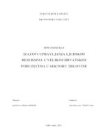 IZAZOVI UPRAVLJANJA LJUDSKIM RESURSIMA U VELIKIM HRVATSKIM PODUZEĆIMA U SEKTORU TRGOVINE