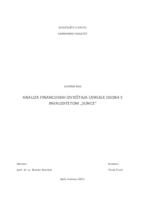 Analiza financijskih izvještaja Udruge osoba s invaliditetom "Sunce"