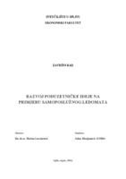 RAZVOJ PODUZETNIČKE IDEJE NA PRIMJERU SAMOPOSLUŢNOG LEDOMATA