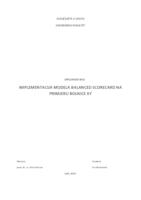 prikaz prve stranice dokumenta IMPLEMENTACIJA MODELA BALANCED SCORECARD NA PRIMJERU BOLNICE XY