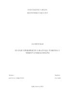 prikaz prve stranice dokumenta Stanje i perspektive razvoja turizma u Neretvanskoj dolini